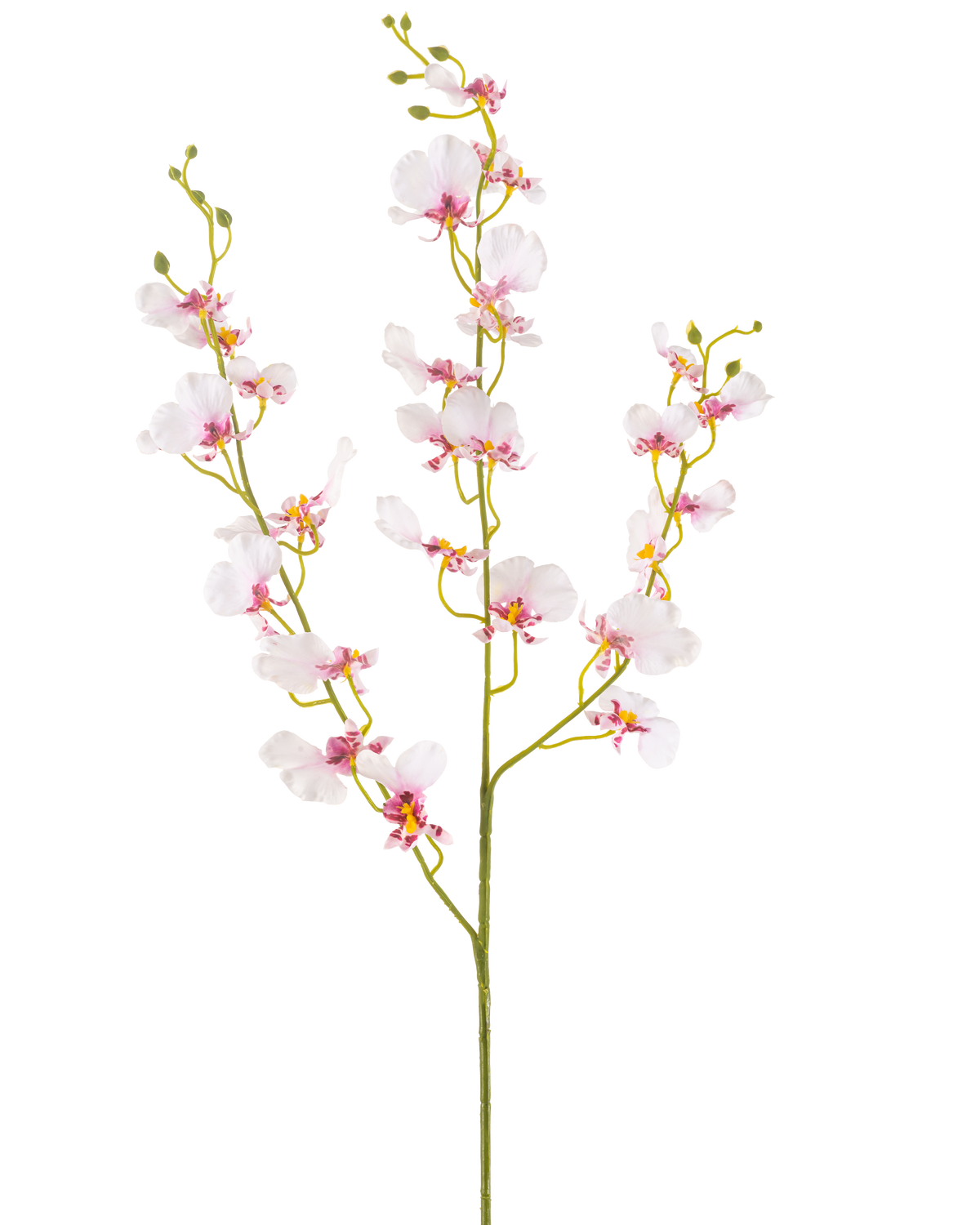 De Kunstbloem Orchidee 98 cm blush heeft een enkele lange steel met meerdere delicate lichtroze orchidee bloemen en knoppen, dunne groene takken en kleine ovale bladeren, allemaal tegen een effen witte achtergrond.