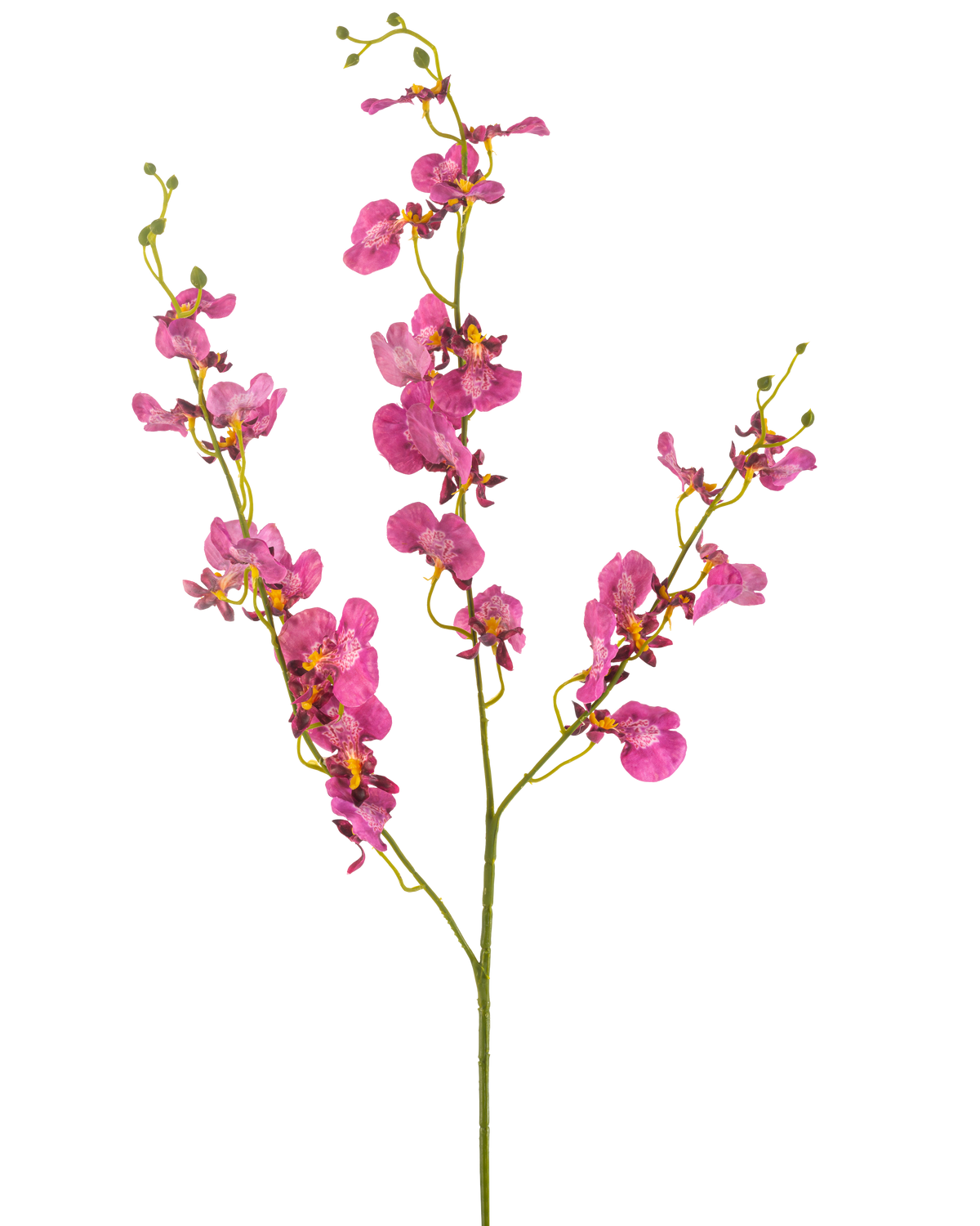 De Kunstbloem Orchidee 98 cm fuchsia heeft levendige roze orchideeënbloesems en -knoppen op lange, slanke groene stelen, prachtig tegen een witte achtergrond.