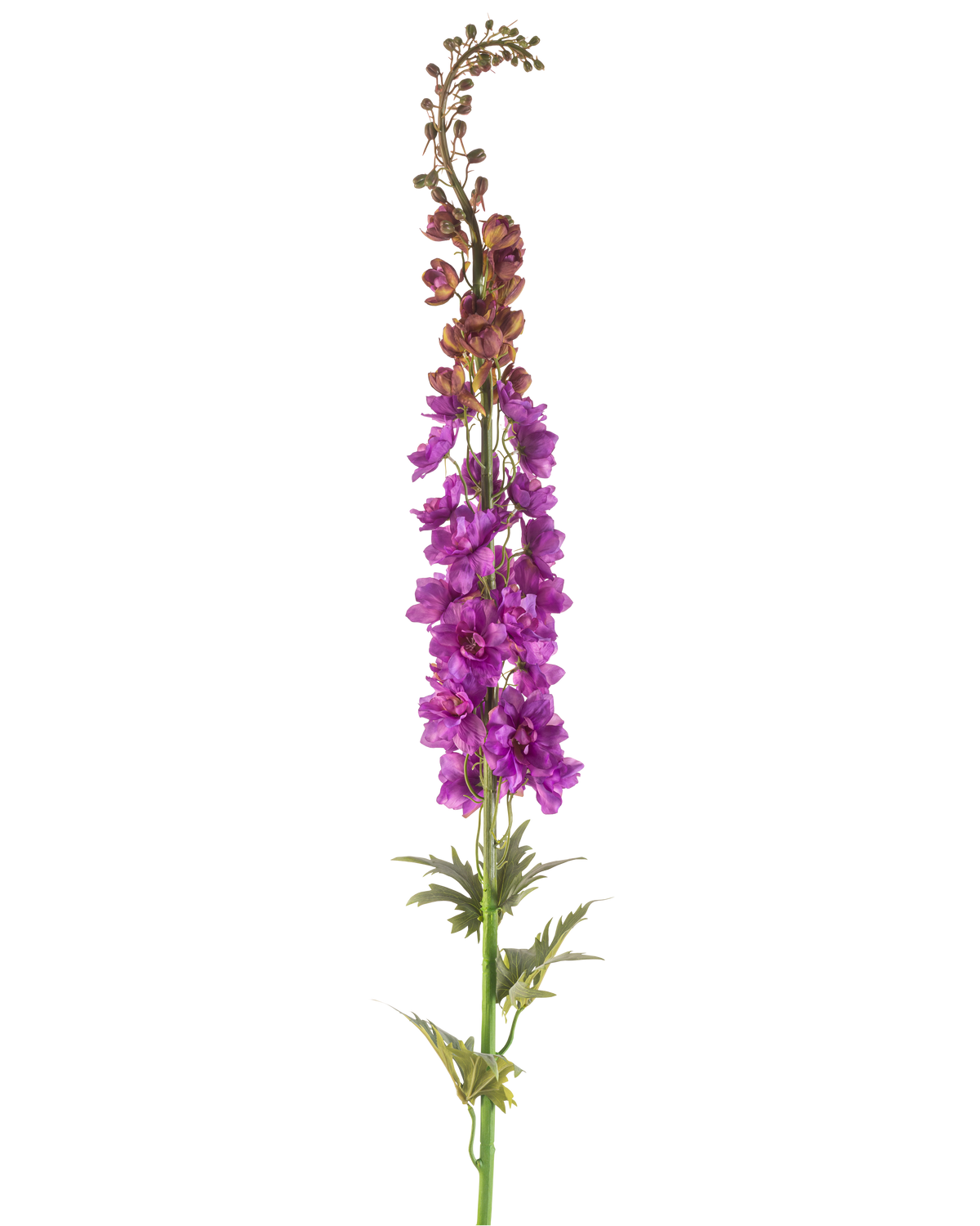 De Kunstbloem Ridderspoor 137 cm paars heeft een hoge groene stengel met diep gelobde bladeren en trossen levendige paarse bloemen langs de bovenkant, tegen een witte achtergrond.