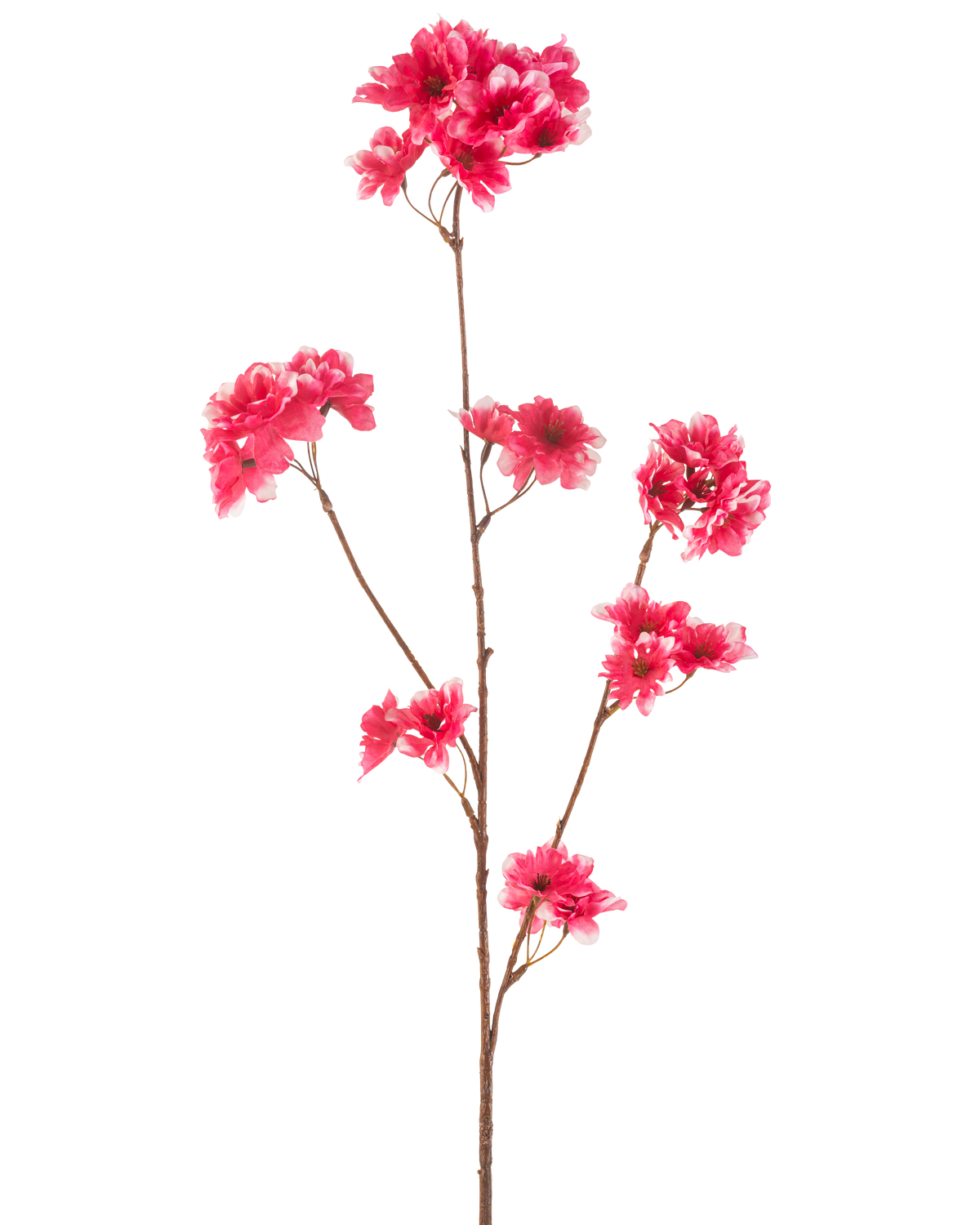 De Kunstbloem Kersenbloesem 85 cm fuchsia heeft een enkele bruine steel met meerdere takken, elk versierd met clusters van levendige fuchsia kunstkersenbloesems, tegen een effen witte achtergrond.