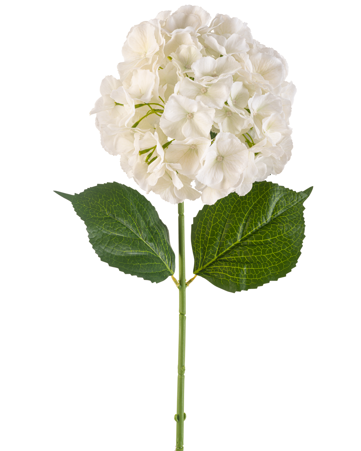 De Kunstbloem Hortensia 75 cm crème heeft een enkele crèmekleurige hortensiabloem met meerdere bloemblaadjes en drie grote groene bladeren op een lange groene steel, geïsoleerd op een witte achtergrond.