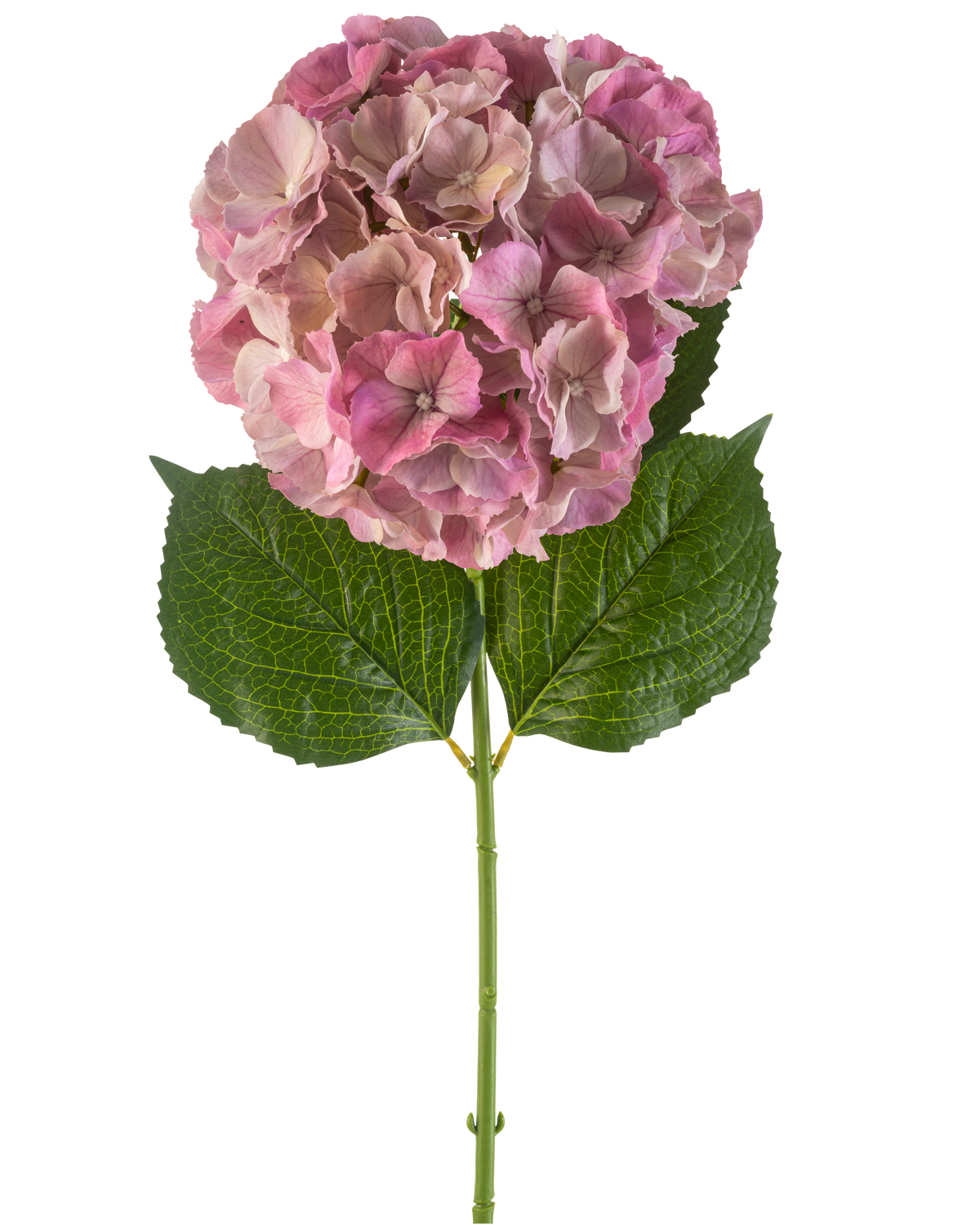 De Kunstbloem Hortensia 75 cm mauve heeft een enkele mauve hortensiabloesem met groene bladeren op een lange steel, tegen een witte achtergrond.