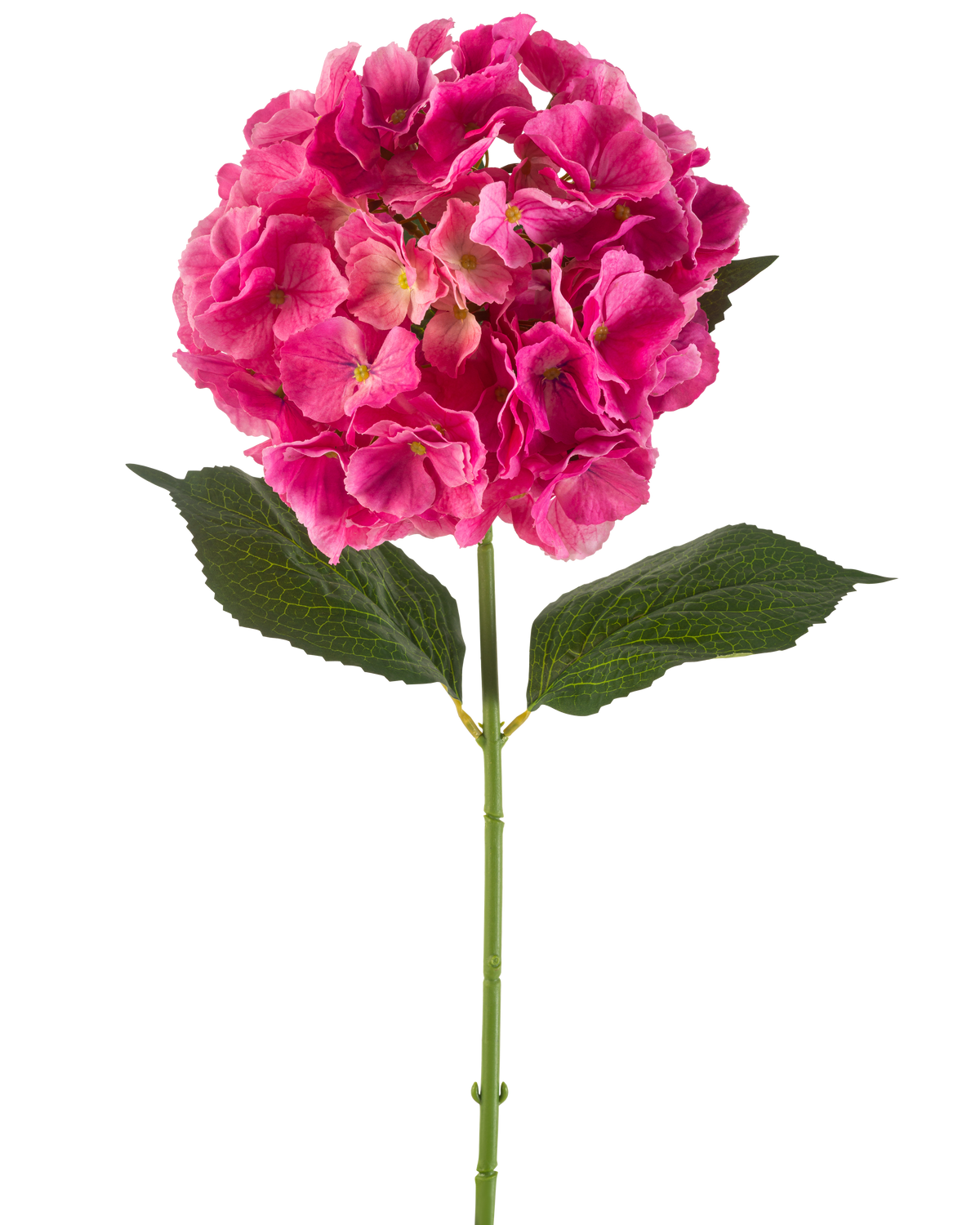 Een enkele stengel Kunstbloem Hortensia 75 cm felroze met trossen felroze bloemblaadjes en enkele groene blaadjes, tegen een effen witte achtergrond.