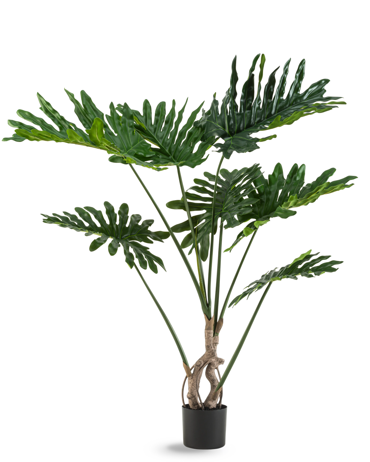 De Kunstplant Philodendron 120 cm heeft grote, glanzende, diep ingesneden groene bladeren en meerdere lange stelen met een gedraaide stam, tegen een effen witte achtergrond.