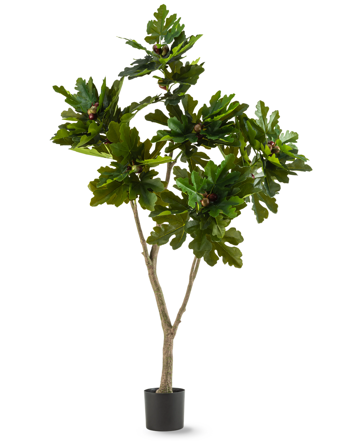 De Kunstplant Ficus Carica Vijgenboom 180 cm is een kunstplant in pot met brede, glanzende groene bladeren en kleine bruine vruchten, die lijken op een vijgenboom, tegen een witte achtergrond.