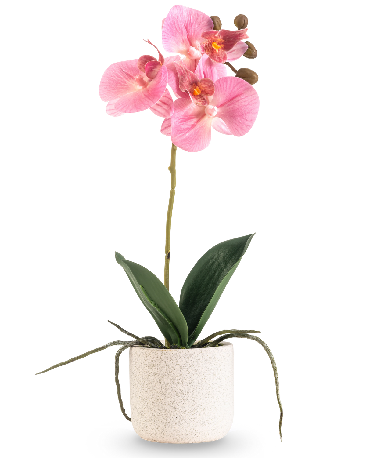 De Kunst Orchidee Real Touch 30 cm roze heeft verschillende roze bloesems en knoppen op een lange steel met brede groene bladeren en zichtbare wortels, allemaal gerangschikt in een eenvoudige pot met witte textuur tegen een effen witte achtergrond.