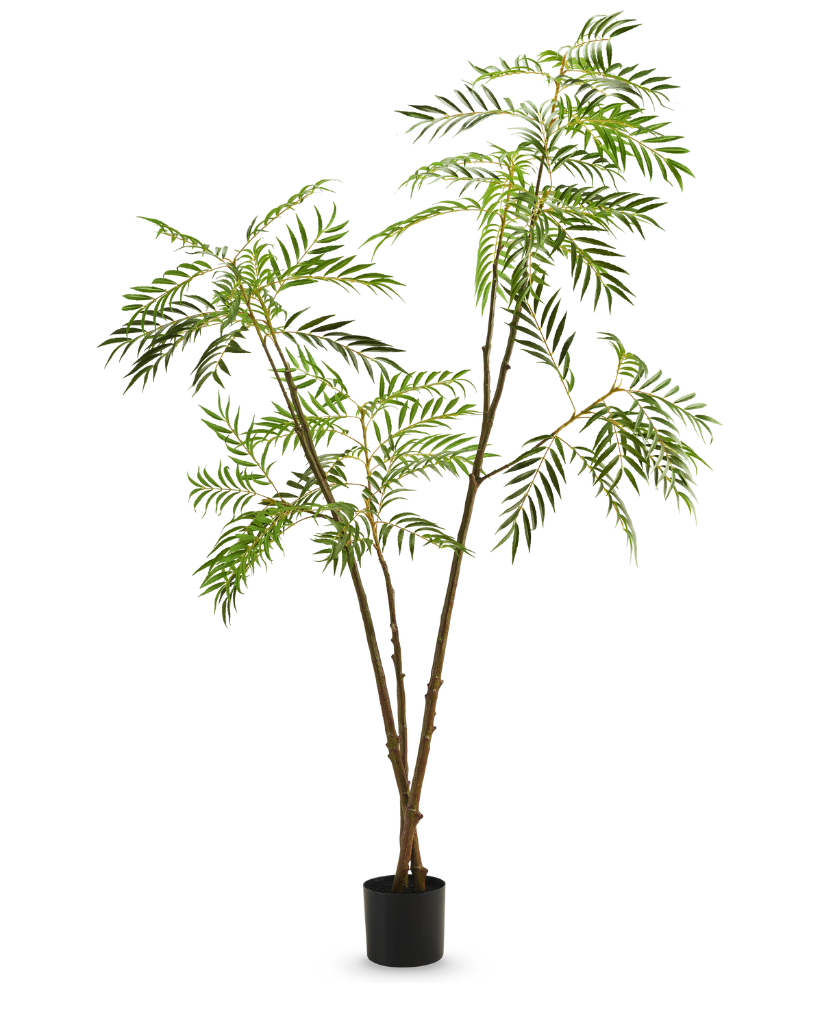 De Kunstplant Mahonia 210 cm is een hoge kunstplant in pot met slanke bruine stengels en lange, smalle groene bladeren, afgebeeld tegen een effen witte achtergrond.