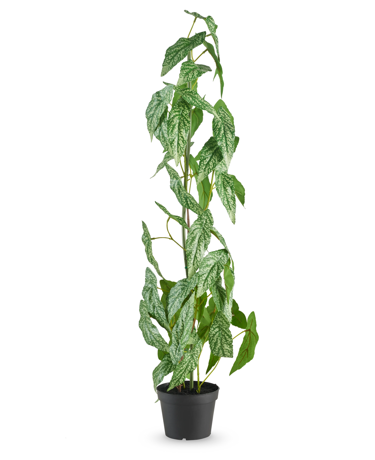 De Kunstplant Begonia Maculata 90 cm groen staat hoog met gespikkelde witte en groene bladeren in een kleine zwarte pot, tegen een effen witte achtergrond.