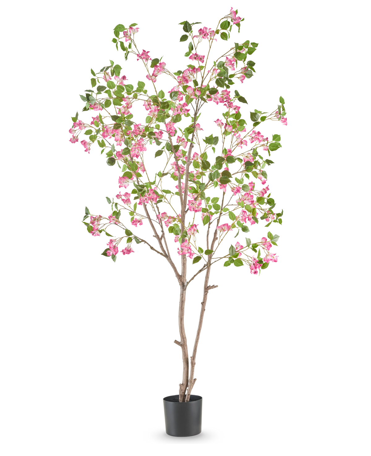 De Kunstplant Bougainvillea 210 cm is een hoge kunstboom met slanke bruine takken, groene bladeren en trossen felroze bloemen in een eenvoudige zwarte pot tegen een witte achtergrond.