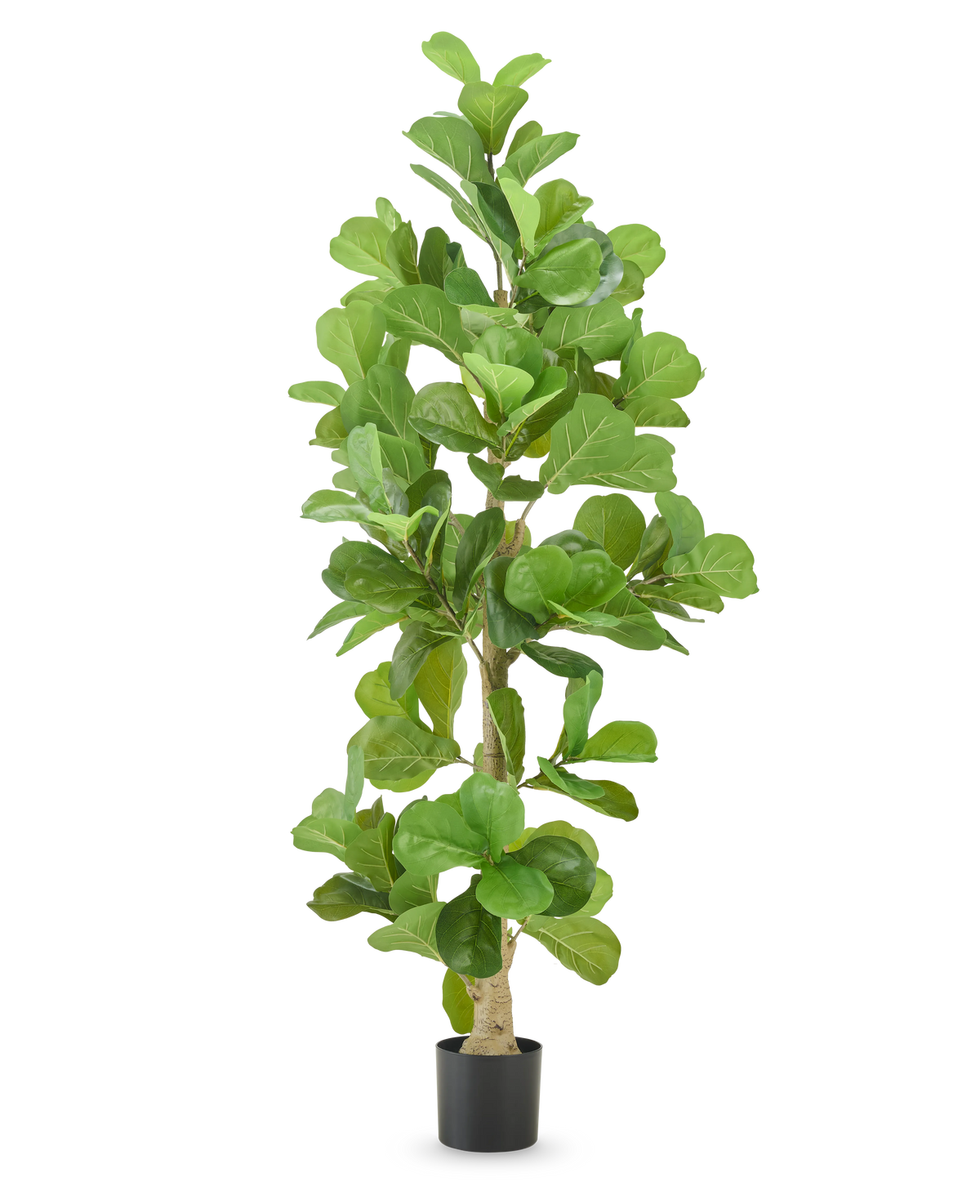De Kunstplant Tabaksplant 210 cm is een hoge kunsttabaksplant met brede, glanzend groene bladeren in een zwarte pot, geïsoleerd afgebeeld op een witte achtergrond.