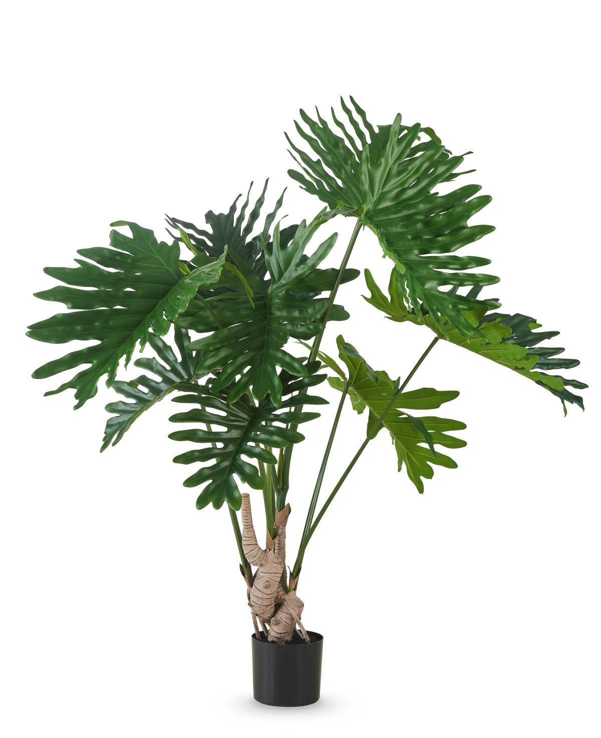 De Kunstplant Philodendron 150 cm heeft grote, glanzende, diep gelobde groene bladeren aan lange stengels, tegen een effen witte achtergrond.