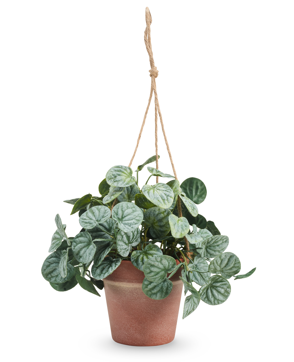 De Kunstplant Rugose blad 29 cm grijs in hangpot heeft ronde, gedessineerde groene bladeren en hangt in een pot aan een tan touw tegen een effen witte achtergrond.