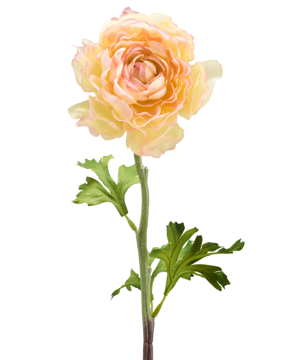 De Kunstbloem Ranonkel 51 cm zalm roze heeft een enkele kunst ranonkel bloem in zachte zalmroze tinten met gelaagde bloemblaadjes en groene blaadjes op een lange steel, tegen een witte achtergrond.