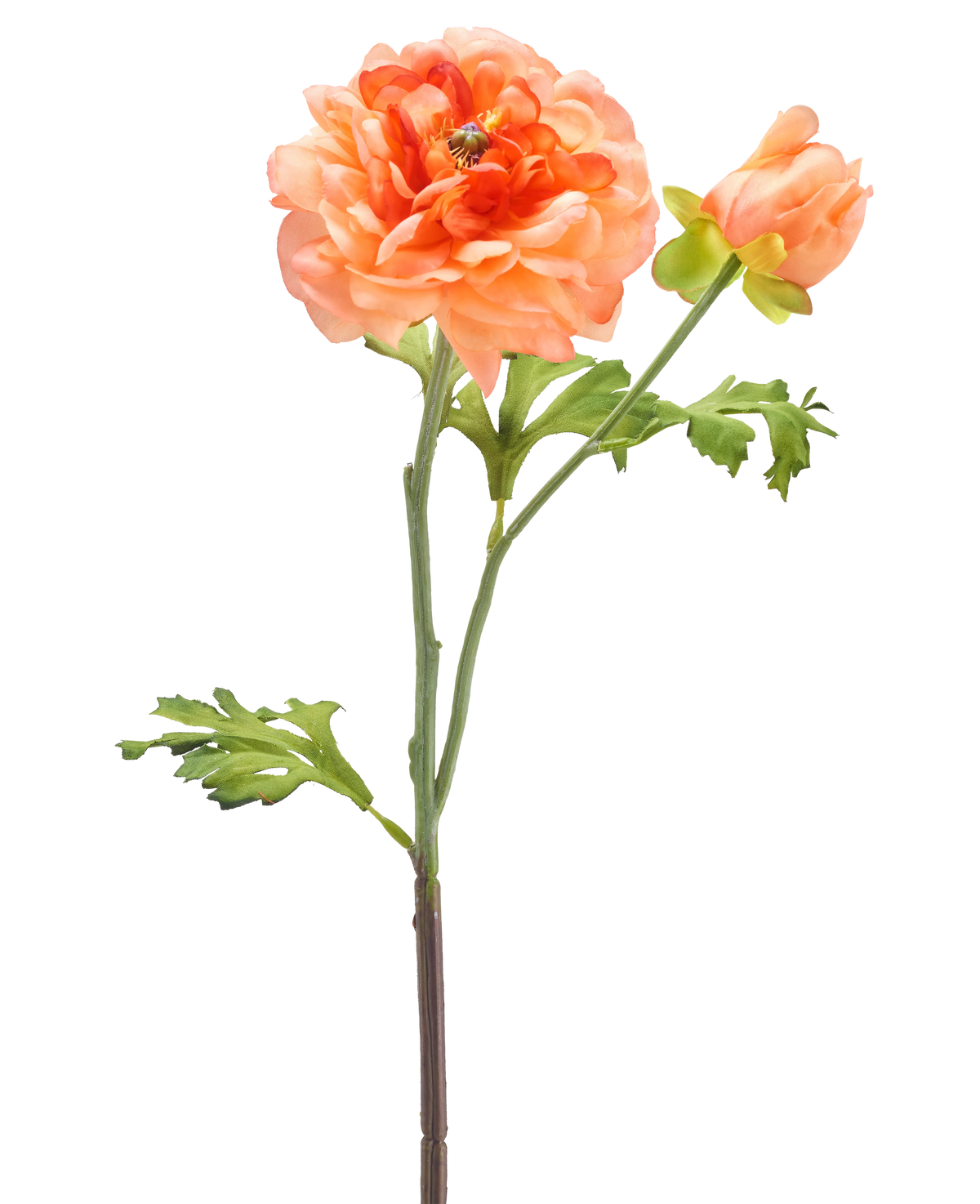 Een enkele steel van de Kunstbloem Ranonkel 51 cm lichtroze met een grote lichtroze bloem in volle bloei, een kleinere knop en groene bladeren tegen een witte achtergrond.