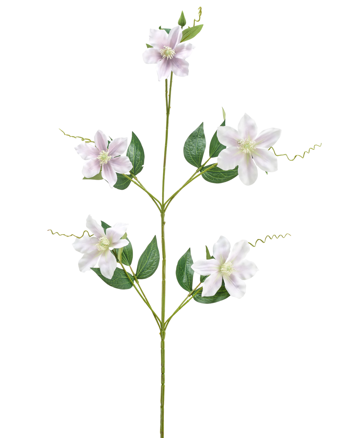 De Kunstbloem Celematis 78 cm wit heeft een enkele groene stengel met vijf witte stervormige bloemen, meerdere groene bladeren die symmetrisch gerangschikt zijn en gekrulde ranken. De achtergrond is egaal wit.