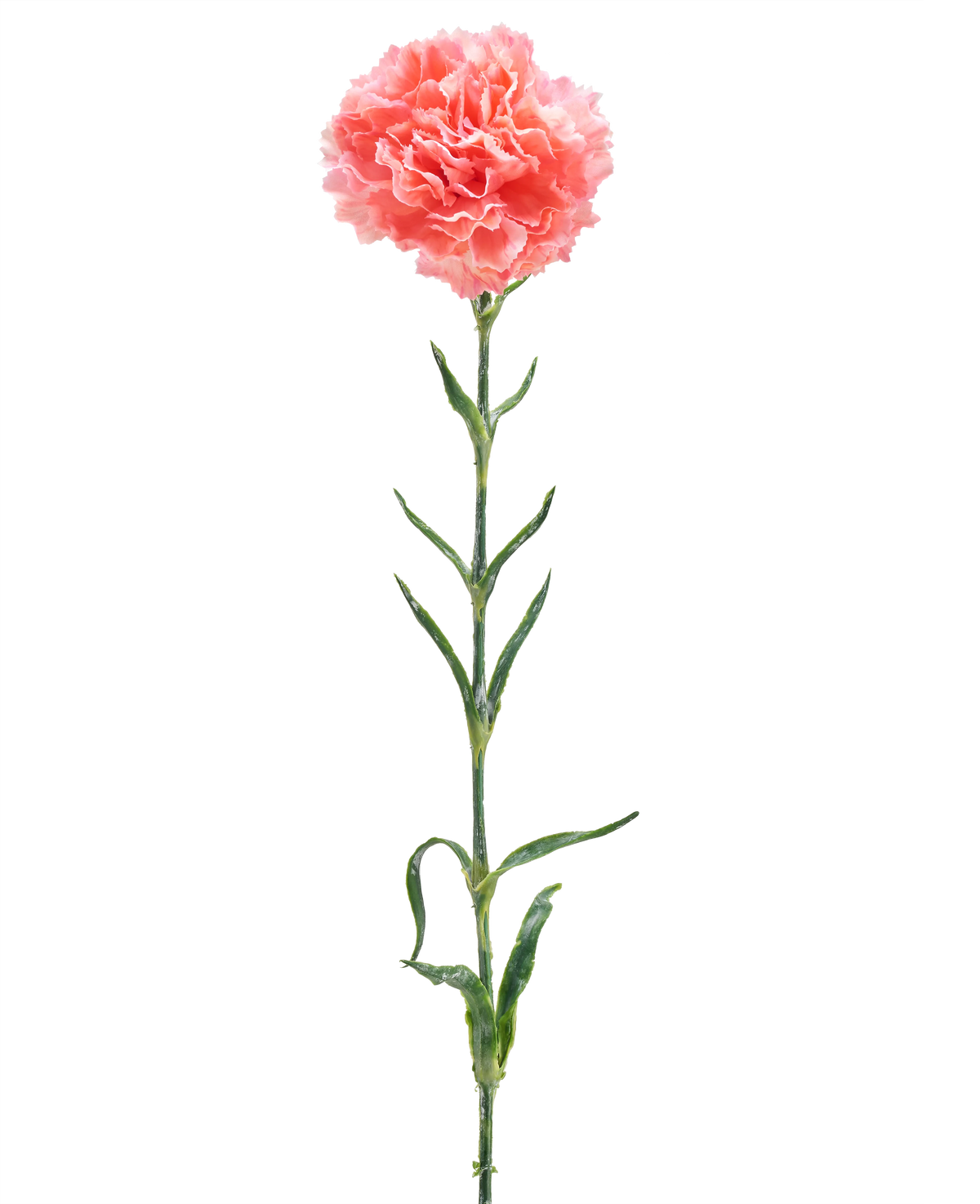 De Kunstbloem Anjer 68 cm zalm roze is een enkele kunstanjer met ruches van zalmroze bloemblaadjes, een lange groene steel en verschillende groene bladeren, geïsoleerd op een witte achtergrond.