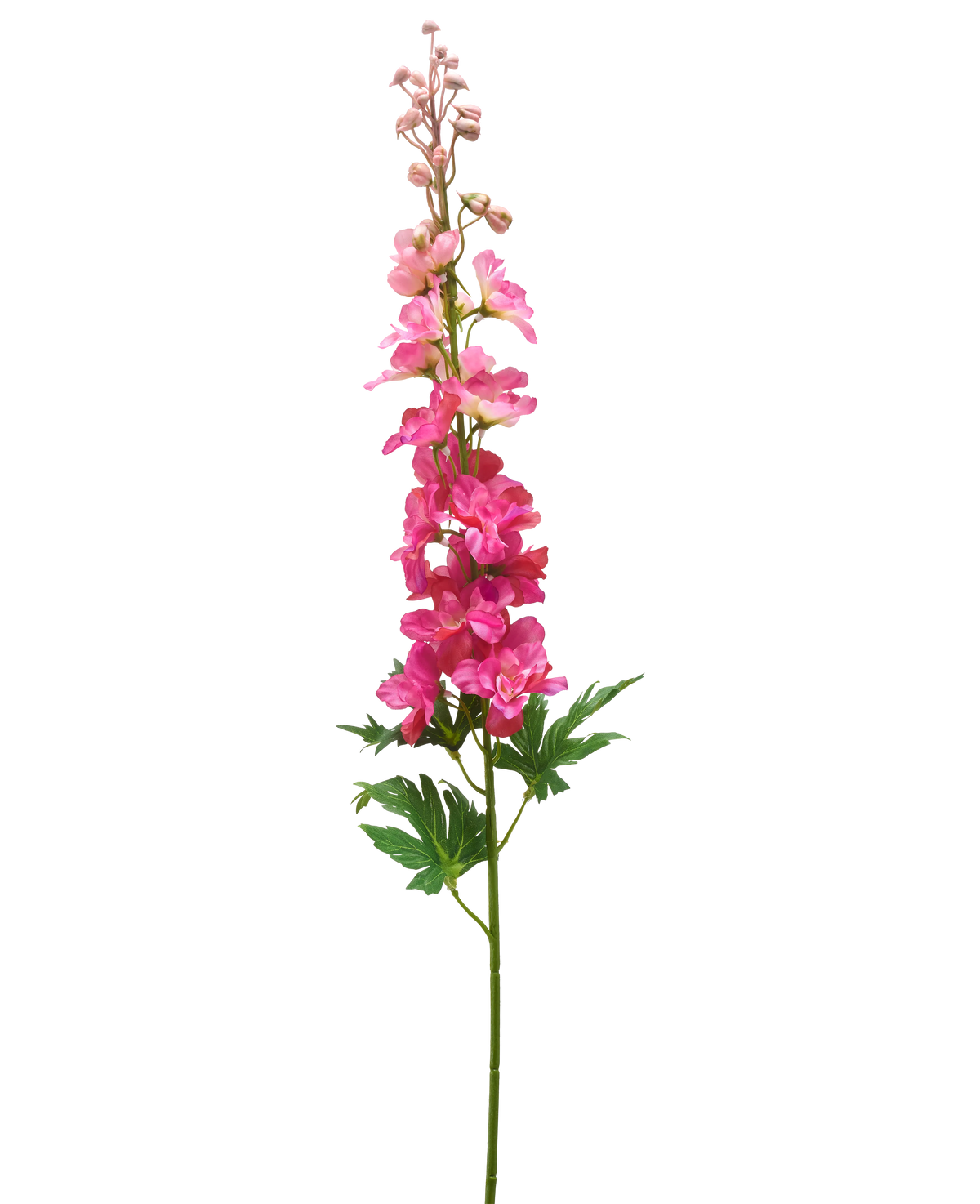 Een enkele stengel Kunstbloem Delphinium 79 cm fuchsia met levendige gelaagde bloesems, groene bladeren en ongeopende knoppen, tegen een witte achtergrond.