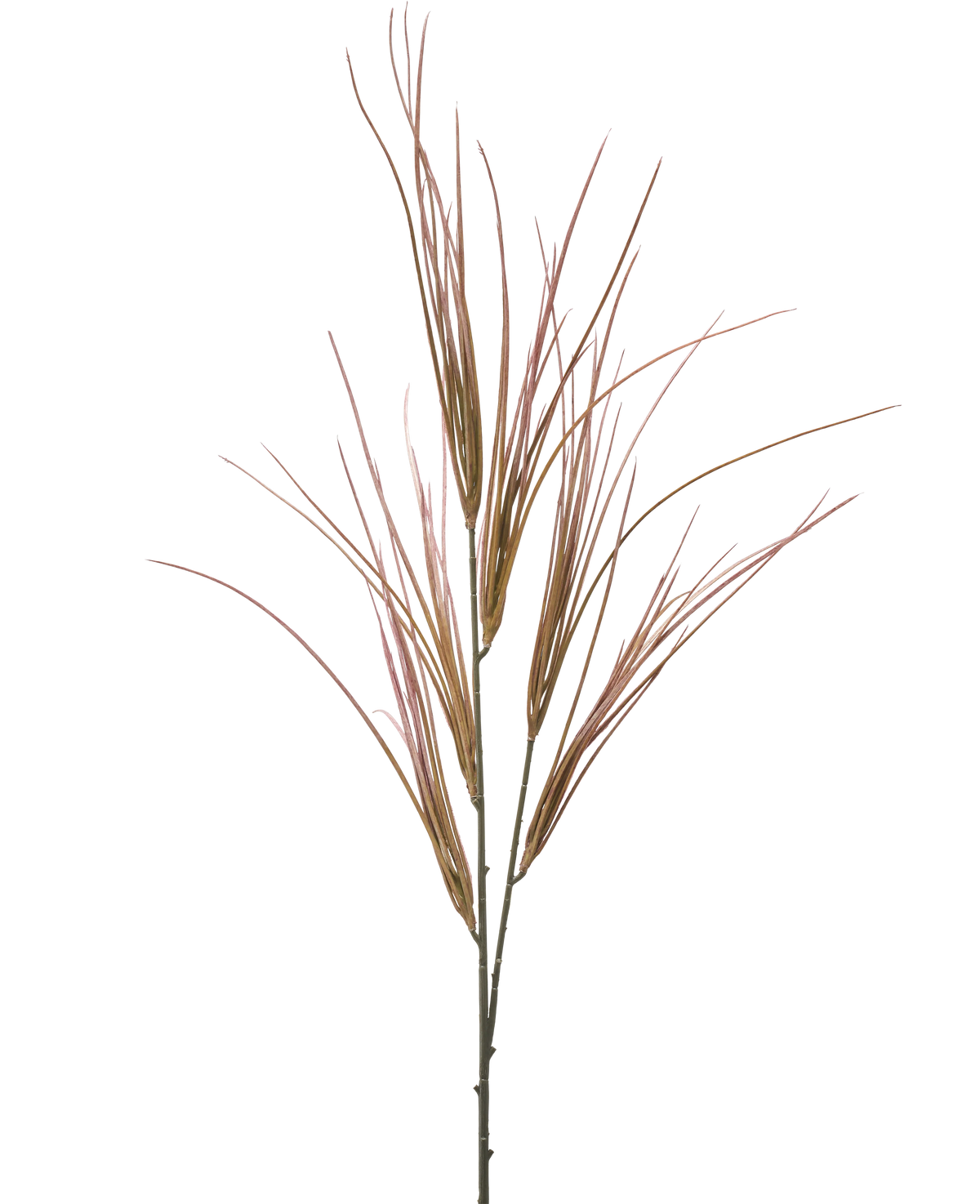 De Kunsttak 104 cm mauve heeft een enkele, hoge steel met meerdere lange, dunne, mauve en groene grasachtige bladeren die uitwaaieren, geïsoleerd op een effen witte achtergrond.