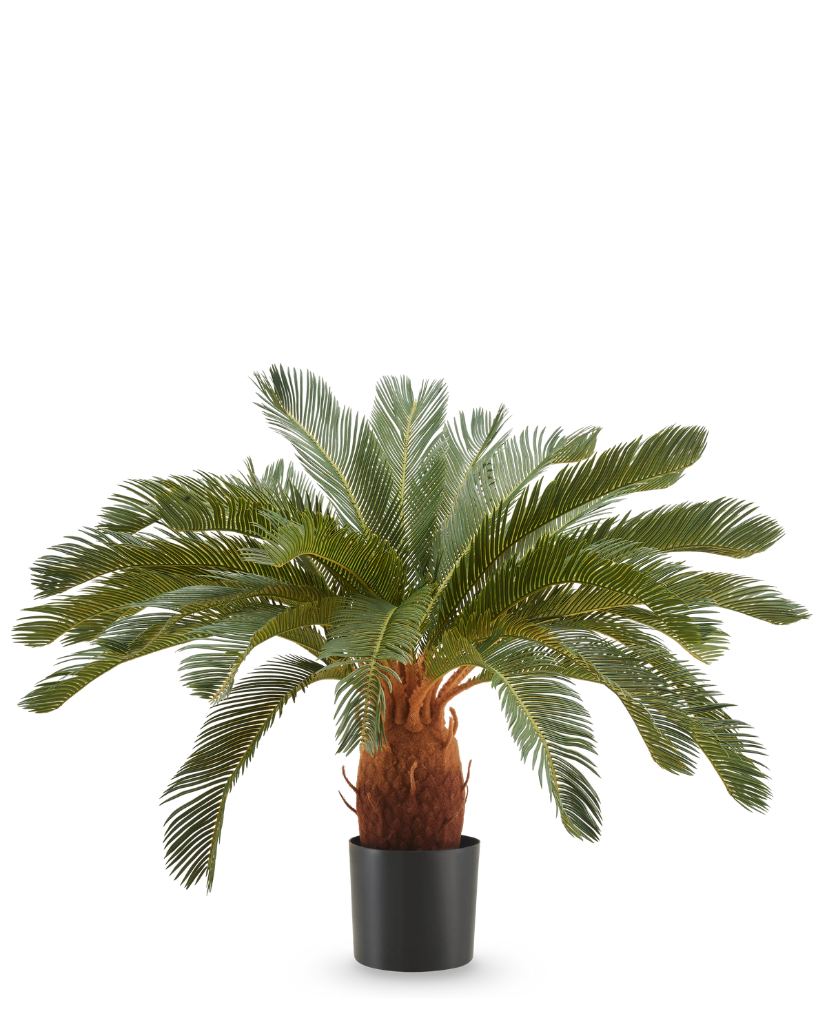 De Kunstplant Cycas UV 90 cm heeft lange, gebogen groene bladeren en een dikke bruine stam in een zwarte pot, tegen een effen witte achtergrond.