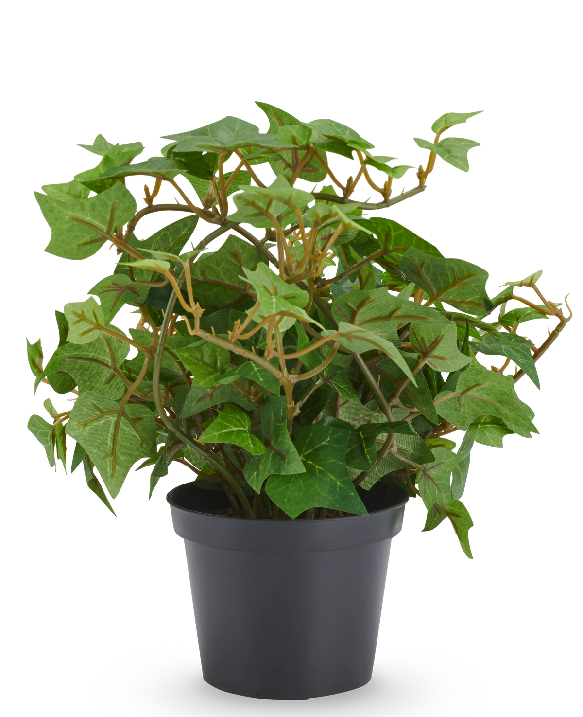 Kunstplant Klimop 22 cm, kunstmatige klimopplant in een zwarte pot.