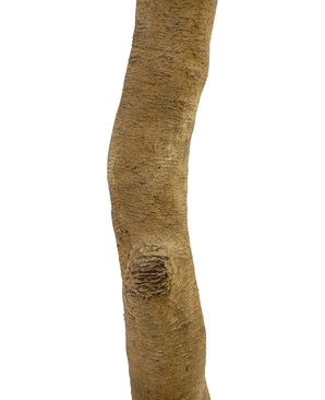 Kunst Appelboom 240 cm