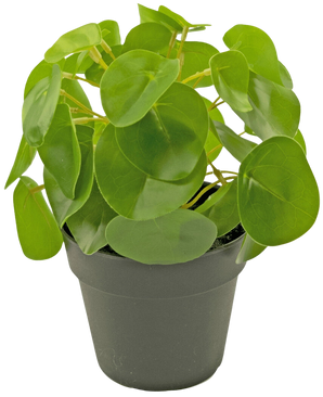 Kunst Pannenkoekplant mini 20 cm