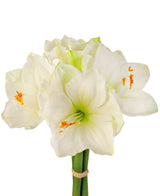 Kunstbloem Amaryllis Real Touch wit 36 cm