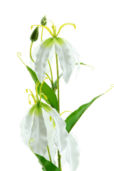Kunstbloem Gloriosa Real Touch Wit 75 cm