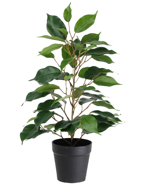 De Kunstplant Ficus in Pot 40cm is een hoge kunstplant in pot met meerdere takken en grote, glanzend groene bladeren, gepresenteerd in een eenvoudige zwarte pot tegen een witte achtergrond.