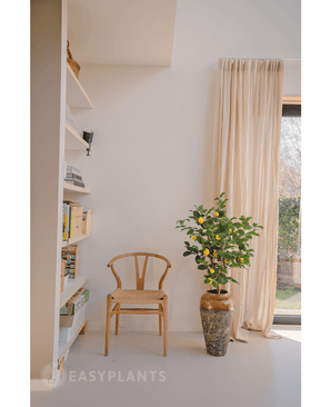 Kunstplant Citroenboom 90 cm