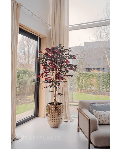 Een Kunstplant Ficus groen/rood 180 cm brandvertragend met donkergroene en rode bladeren staat bij een groot raam met crèmekleurige gordijnen in een lichte, moderne woonkamer naast een beige bank met gedessineerde kussens. Buiten zijn bomen en een huis zichtbaar.