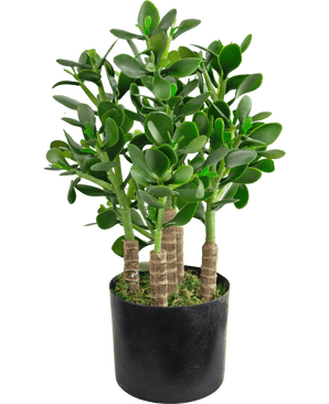 Kunstplant Jade 45 cm