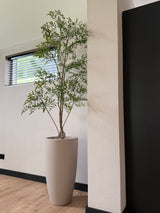 Kunstplant Ruscus 150 cm