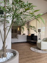 Kunstplant Ruscus 150 cm