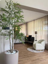 Kunstplant Ruscus 150 cm