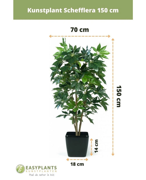 Kunstplant Schefflera 150 cm in een zwarte pot van 150x70x18 cm met weelderige groene bladeren. Hoogte pot: 14 cm. Merk Easyplants Kunstplanten.