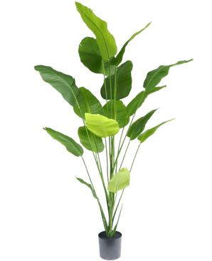 Kunstplant Strelitzia 210 cm real touch