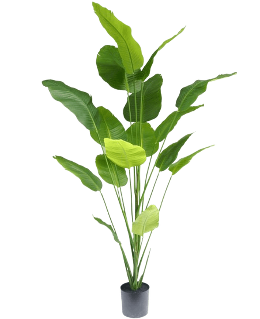 HOMCOM Kunstmatige Palm Groot 120cm Kunstplant, Kunststof Kunstplanten In Pot Voor Woonkamer Kantoor~1vr8o9r8a6800 HOMCOM Kunstmatige Palm Groot 120cm Kunstplant, Kunststof Kunstplanten In Pot Voor Woonkamer Kantoor~1vr8o9r8a6800