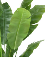 Kunstplant Strelitzia Nicolai Deluxe 180 cm