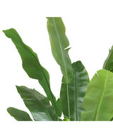 Kunstplant Strelitzia Nicolai Deluxe 180 cm