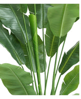 Kunstplant Strelitzia Nicolai Deluxe 180 cm
