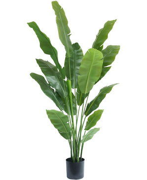 Kunstplant Strelitzia Nicolai Deluxe 180 cm