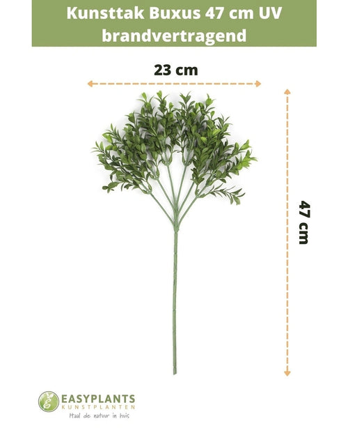 Kunsttak Buxus 47 cm UV brandvertragend, 23 cm breed, met groene kunststof blaadjes op meerdere takken. Specificaties en afmetingen in het Nederlands, met EasyPlants branding onderaan.