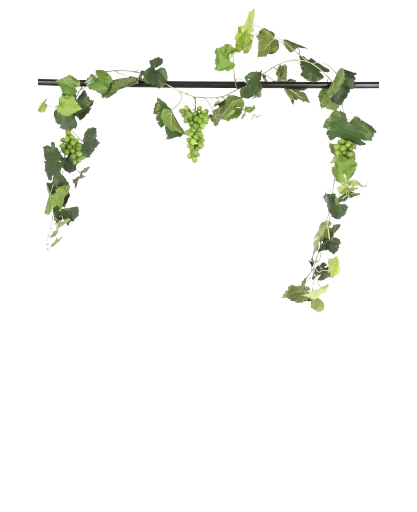 Een zwarte stang toont de Kunst Druiven guirlande brandvertragend 186 cm, met trossen groene druiven en weelderige bladeren, decoratief hangend tegen een effen witte achtergrond.