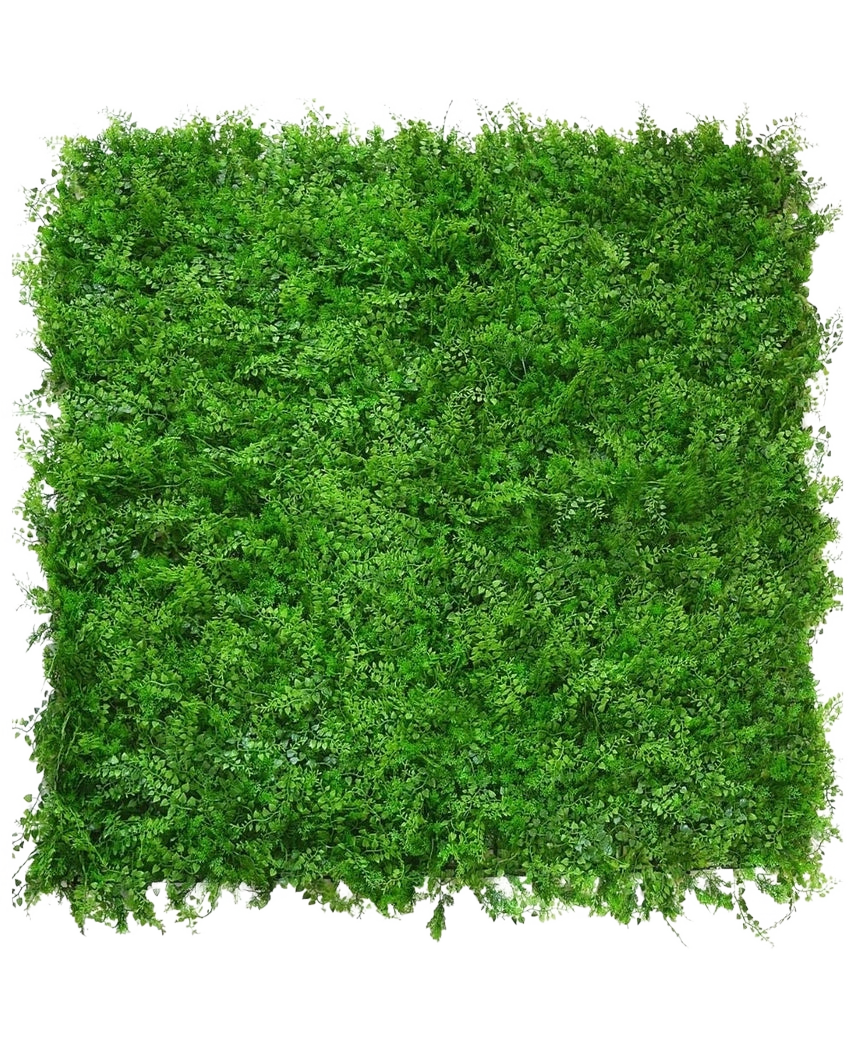 De Kunsthaag varen/conifeer 50x50 cm is een dichte, vierkante mat van levendig groen gebladerte met kleine blaadjes, van bovenaf gezien op een witte achtergrond, die lijkt op een weelderige, natuurlijke groene haag met een gelijkmatig, gestructureerd oppervlak.