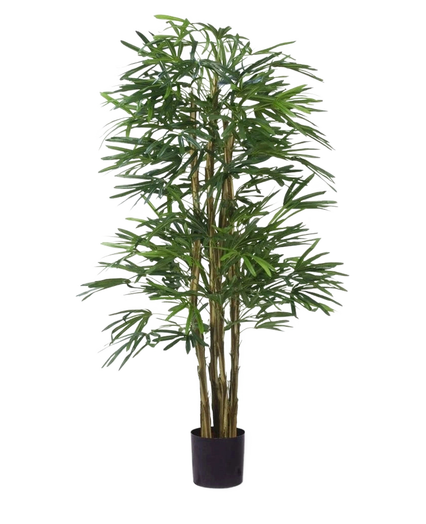 De Kunstplant Lady Palm 150 cm brandvertragend heeft slanke groene bladeren en meerdere dunne, bruine stengels in een kleine zwarte pot, tegen een effen witte achtergrond.