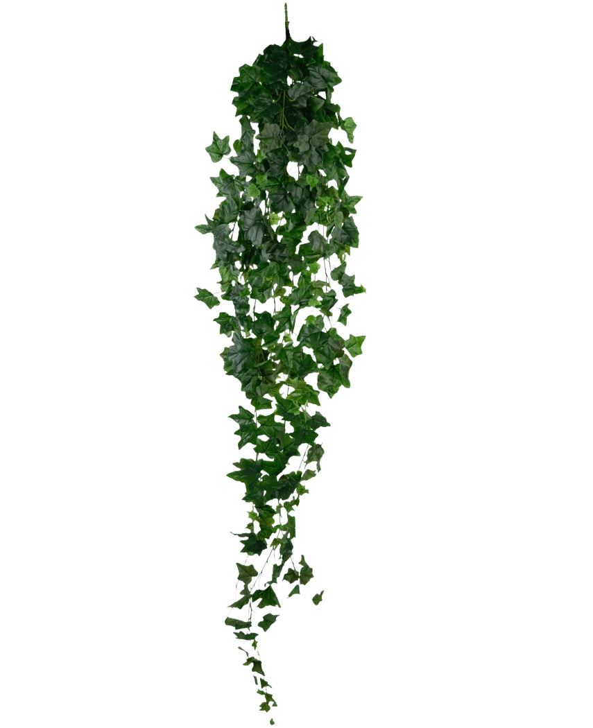De Kunst Klimop 180 cm groen is een enkele kunstmatige groene klimop met dichte, puntige bladeren die verticaal hangt tegen een effen witte achtergrond.