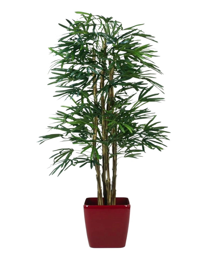 Lady Kunstpalm 210 cm, een kunstpalm met slanke groene bladeren en meerdere dunne stelen, staat in een glanzend rode vierkante plantenbak tegen een effen witte achtergrond.