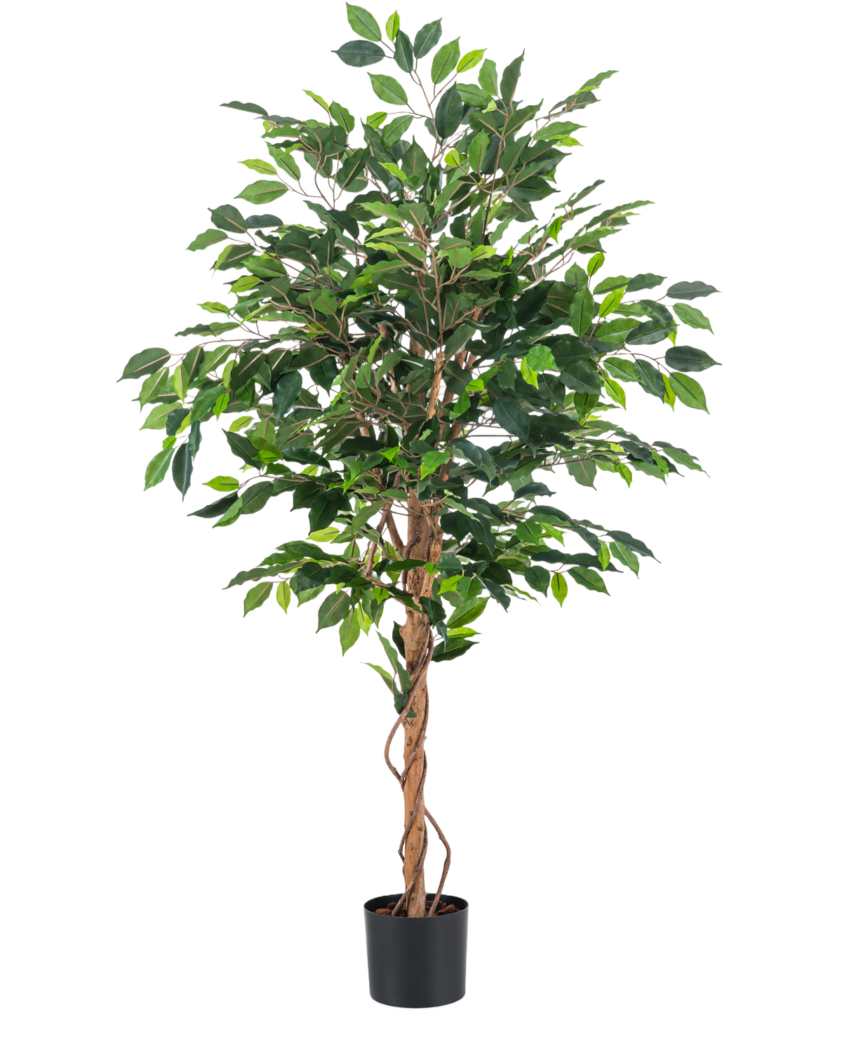 De Kunstplant Ficus Groen 150 cm heeft meerdere groene bladeren en gevlochten bruine stammen in een eenvoudige zwarte pot, tegen een effen witte achtergrond.