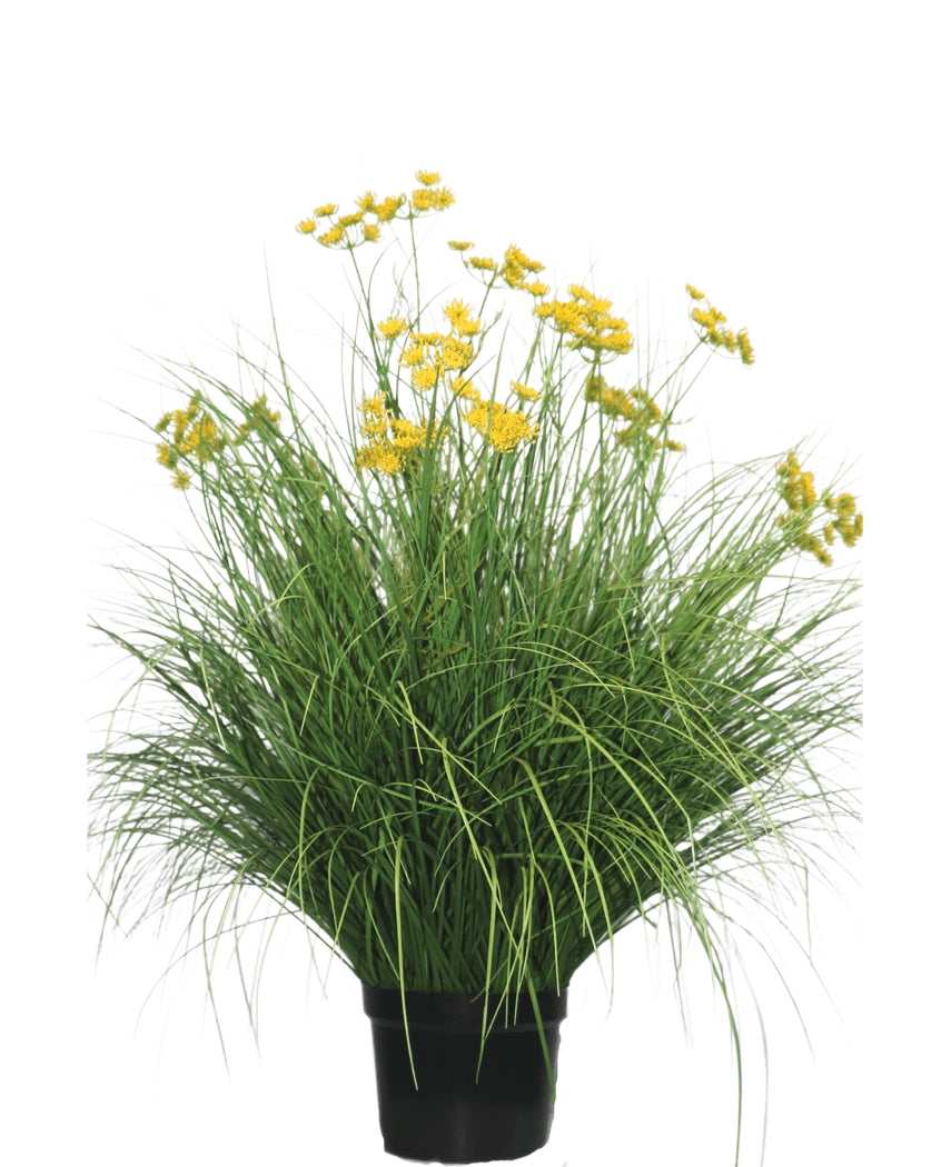 De Kunst Grasplant Asteraceae 100 cm brandvertragend heeft lange, smalle bladeren en trossen heldergele bloemen op hoge stelen. Deze onderhoudsvrije plant staat prachtig in elk interieur tegen een witte achtergrond.